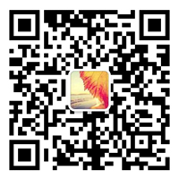 无线充联系微信